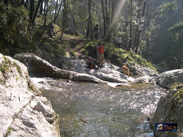 facciamo un tuffo.JPG